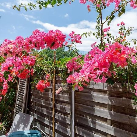 カンヌL'Annonciade-Calme-Terrasse-Parkingアパートメント エクステリア 写真